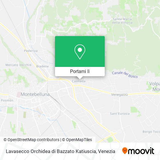 Mappa Lavasecco Orchidea di Bazzato Katiuscia