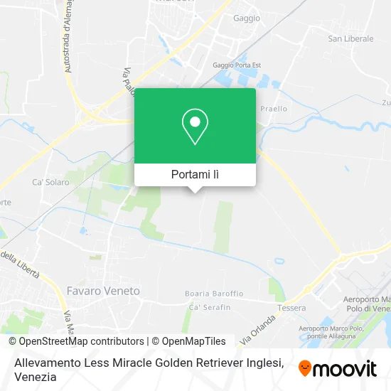 Mappa Allevamento Less Miracle Golden Retriever Inglesi