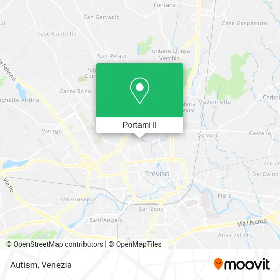 Mappa Autism