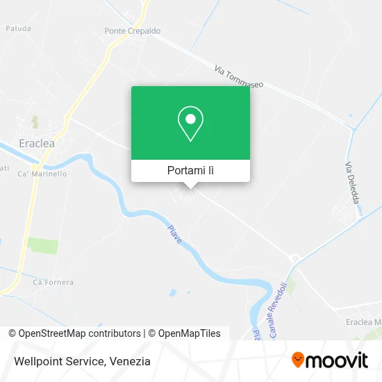 Mappa Wellpoint Service