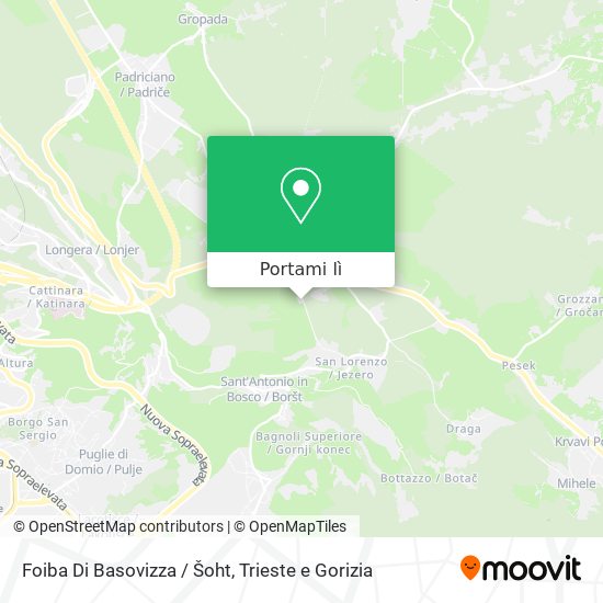 Mappa Foiba Di Basovizza / Šoht