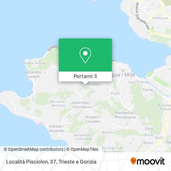 Mappa Località Pisciolon, 37