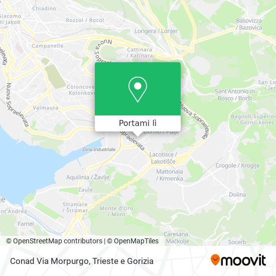 Mappa Conad Via Morpurgo