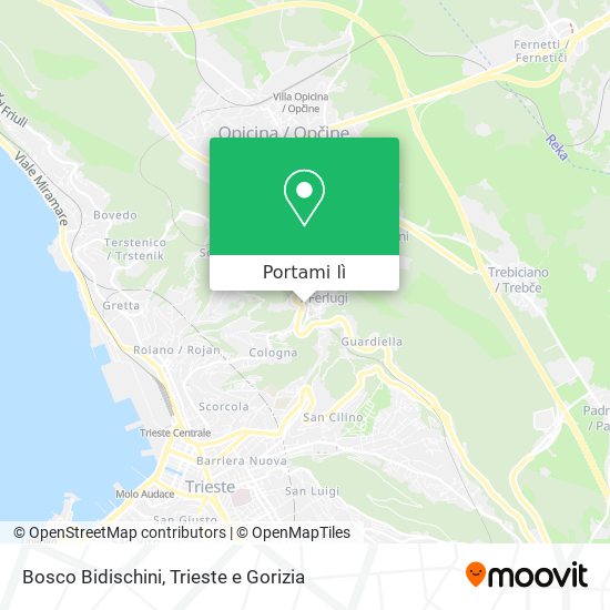 Mappa Bosco Bidischini