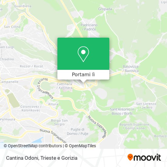Mappa Cantina Odoni