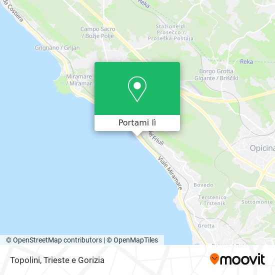 Mappa Topolini