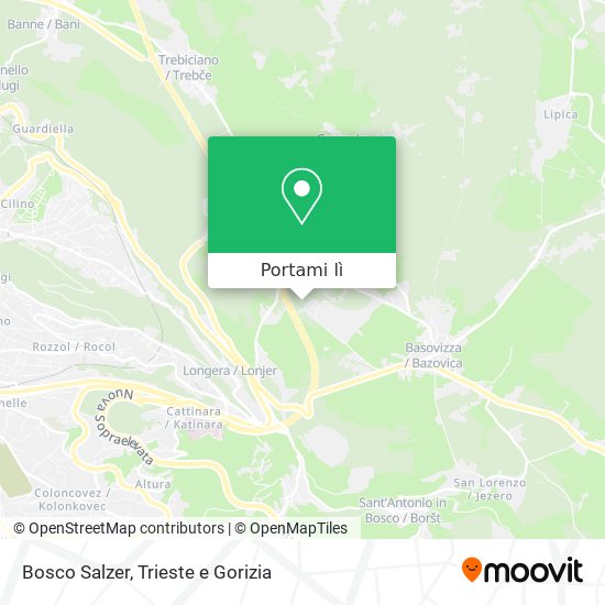 Mappa Bosco Salzer