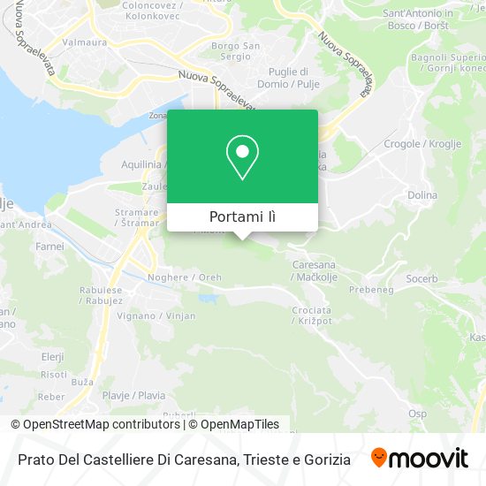 Mappa Prato Del Castelliere Di Caresana