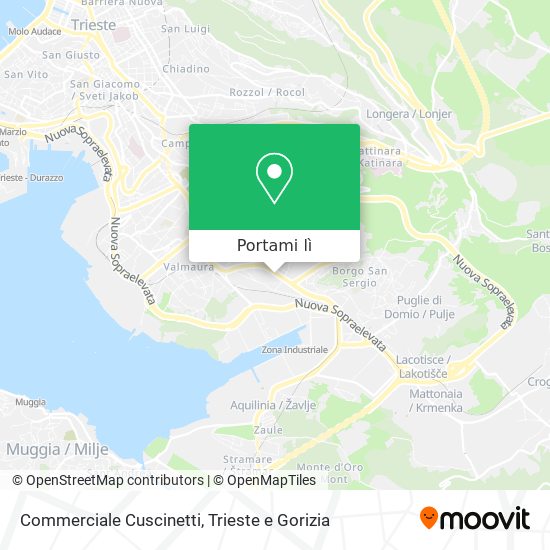 Mappa Commerciale Cuscinetti