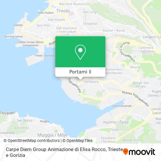 Mappa Carpe Diem Group Animazione di Elisa Rocco