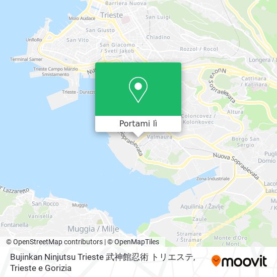 Mappa Bujinkan Ninjutsu Trieste 武神館忍術 トリエステ