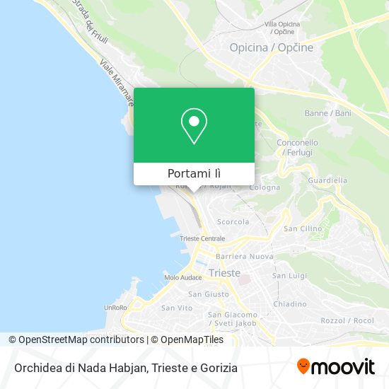 Mappa Orchidea di Nada Habjan