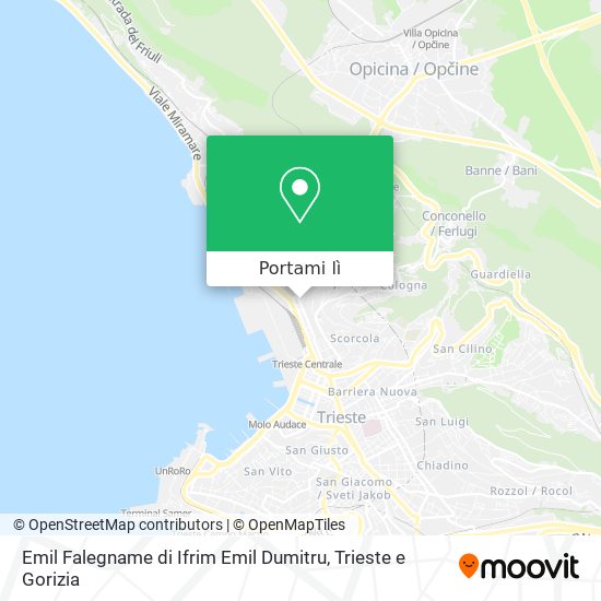 Mappa Emil Falegname di Ifrim Emil Dumitru