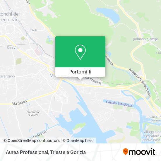 Mappa Aurea Professional
