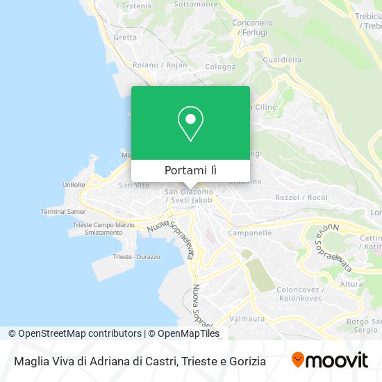 Mappa Maglia Viva di Adriana di Castri