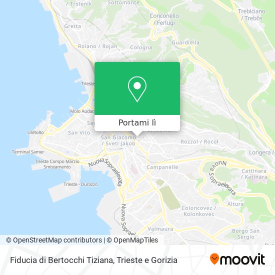 Mappa Fiducia di Bertocchi Tiziana