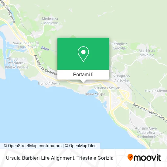 Mappa Ursula Barbieri-Life Alignment