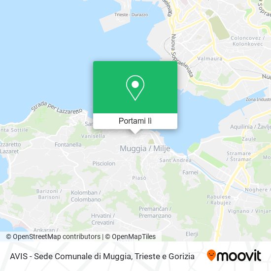 Mappa AVIS - Sede Comunale di Muggia