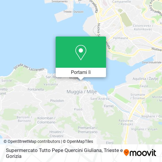 Mappa Supermercato Tutto Pepe Quercini Giuliana
