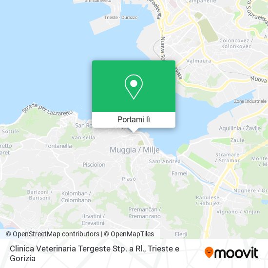 Mappa Clinica Veterinaria Tergeste Stp. a Rl.