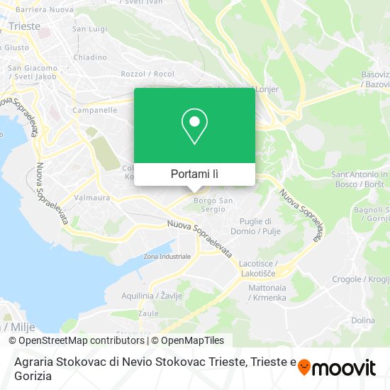 Mappa Agraria Stokovac di Nevio Stokovac Trieste