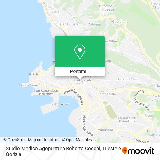 Mappa Studio Medico Agopuntura Roberto Cocchi