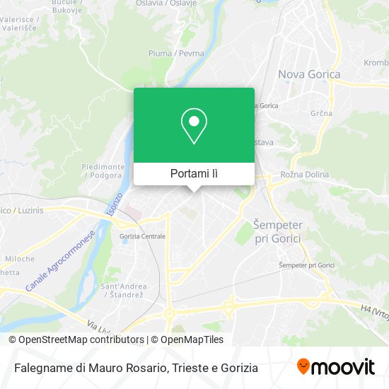 Mappa Falegname di Mauro Rosario