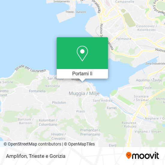 Mappa Amplifon