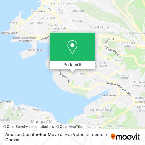 Mappa Amazon Counter-Bar Move di Eva Vidonis