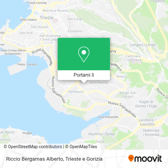 Mappa Riccio Bergamas Alberto