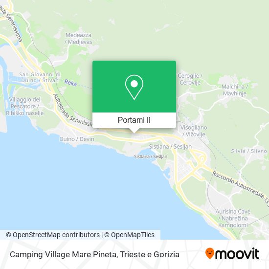 Mappa Camping Village Mare Pineta