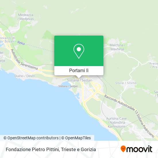 Mappa Fondazione Pietro Pittini
