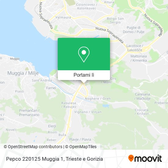 Mappa Pepco 220125 Muggia 1