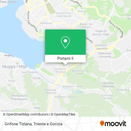 Mappa Grifone Tiziana