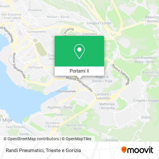 Mappa Randi Pneumatici