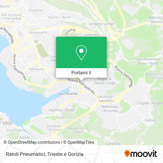 Mappa Randi Pneumatici