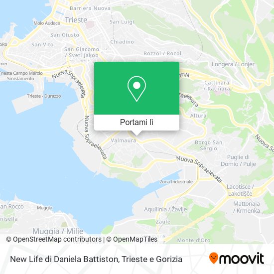 Mappa New Life di Daniela Battiston