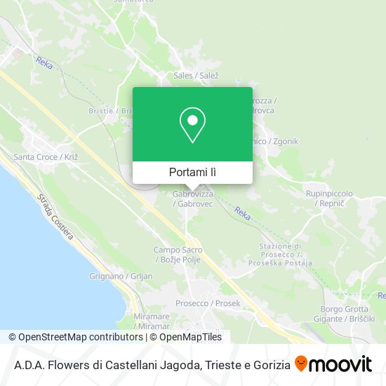 Mappa A.D.A. Flowers di Castellani Jagoda