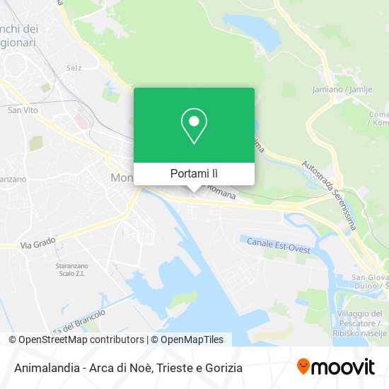 Mappa Animalandia - Arca di Noè