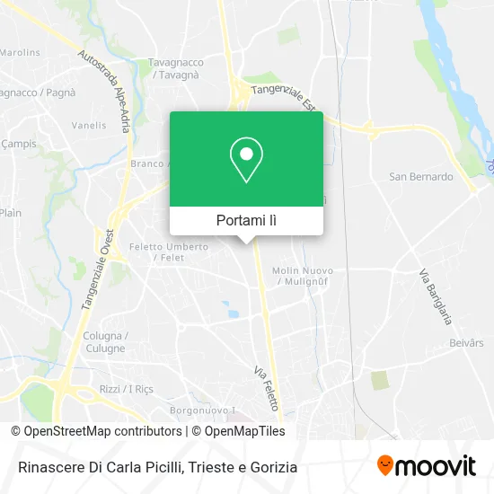 Mappa Rinascere Di Carla Picilli