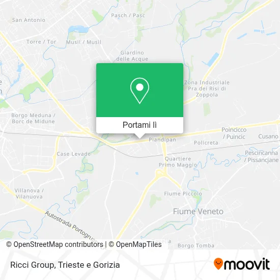 Mappa Ricci Group