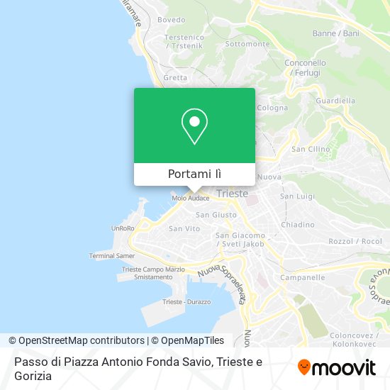 Mappa Passo di Piazza Antonio Fonda Savio