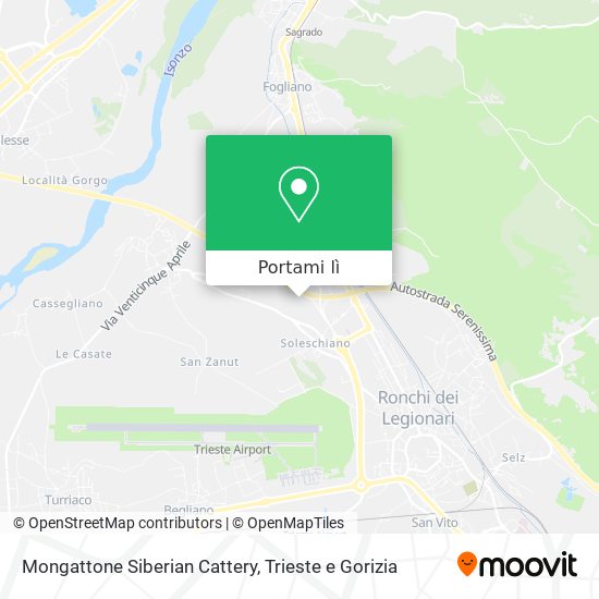 Mappa Mongattone Siberian Cattery