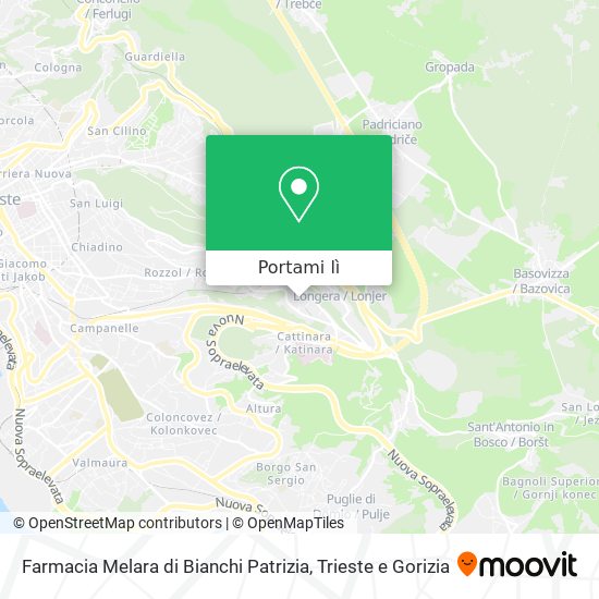 Mappa Farmacia Melara di Bianchi Patrizia