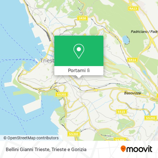 Mappa Bellini Gianni Trieste