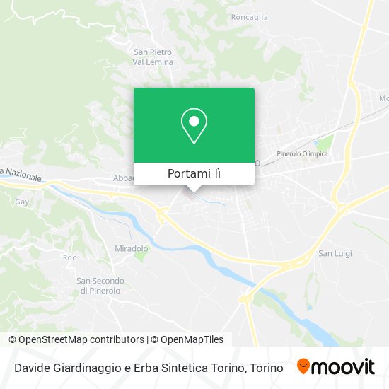 Mappa Davide Giardinaggio e Erba Sintetica Torino