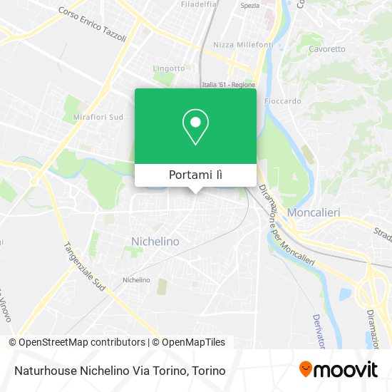 Mappa Naturhouse Nichelino Via Torino