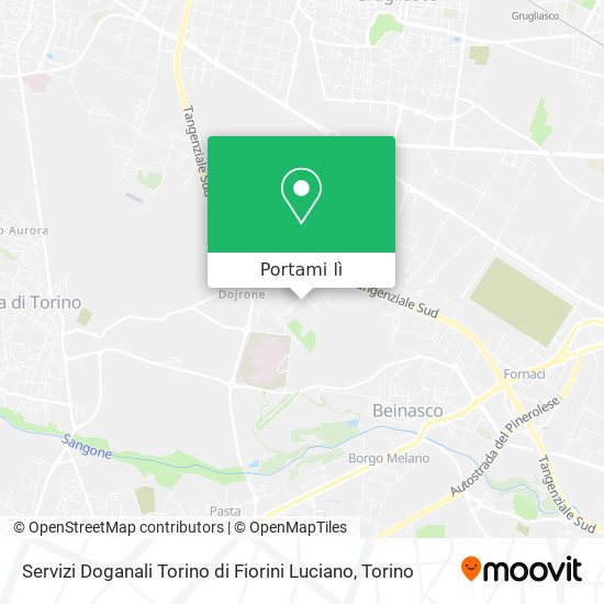 Mappa Servizi Doganali Torino di Fiorini Luciano