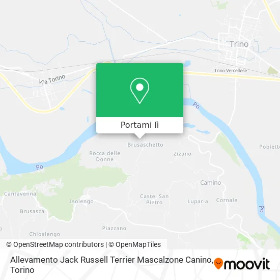 Mappa Allevamento Jack Russell Terrier Mascalzone Canino