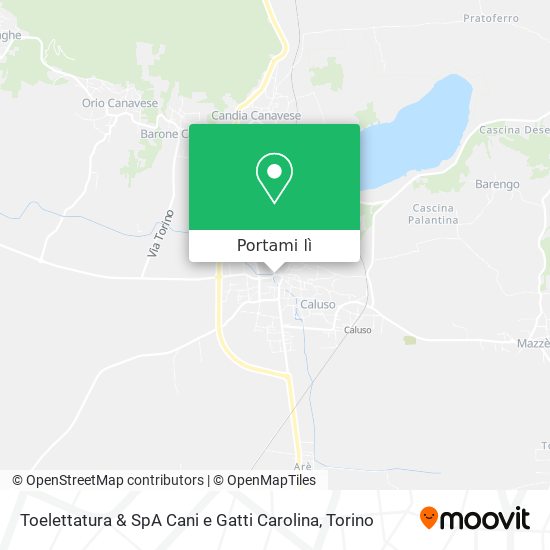 Mappa Toelettatura & SpA Cani e Gatti Carolina
